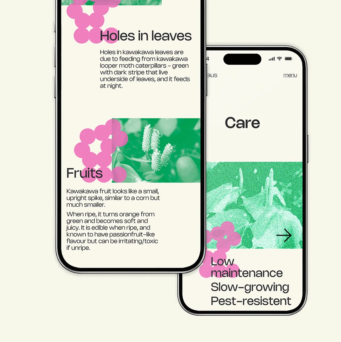 App — care tips