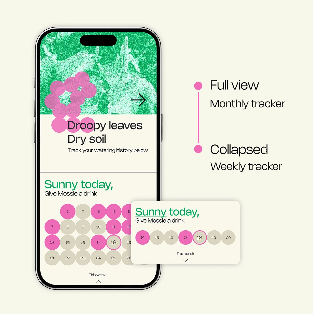 App — water tracker
